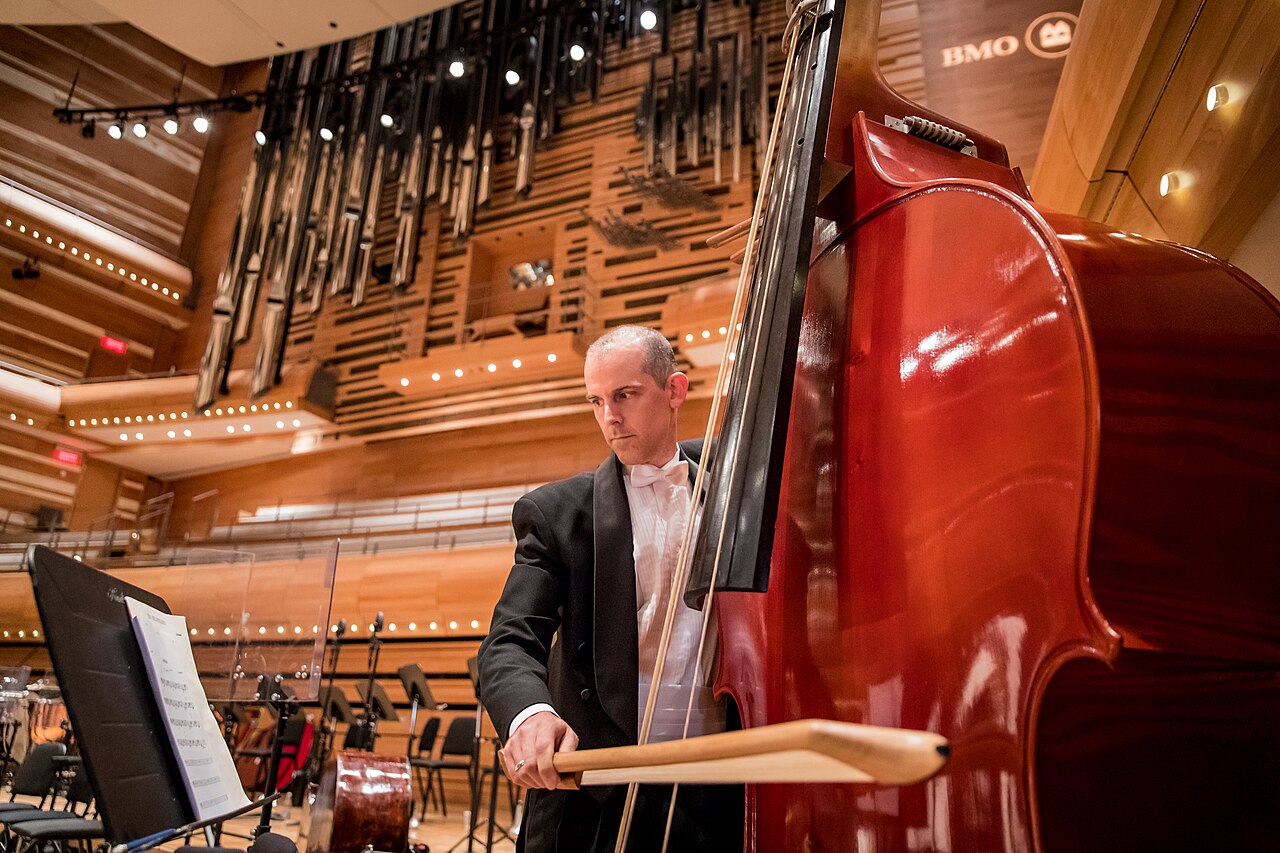 The octobass, a giant three-stringed bowed instrument far taller than a person