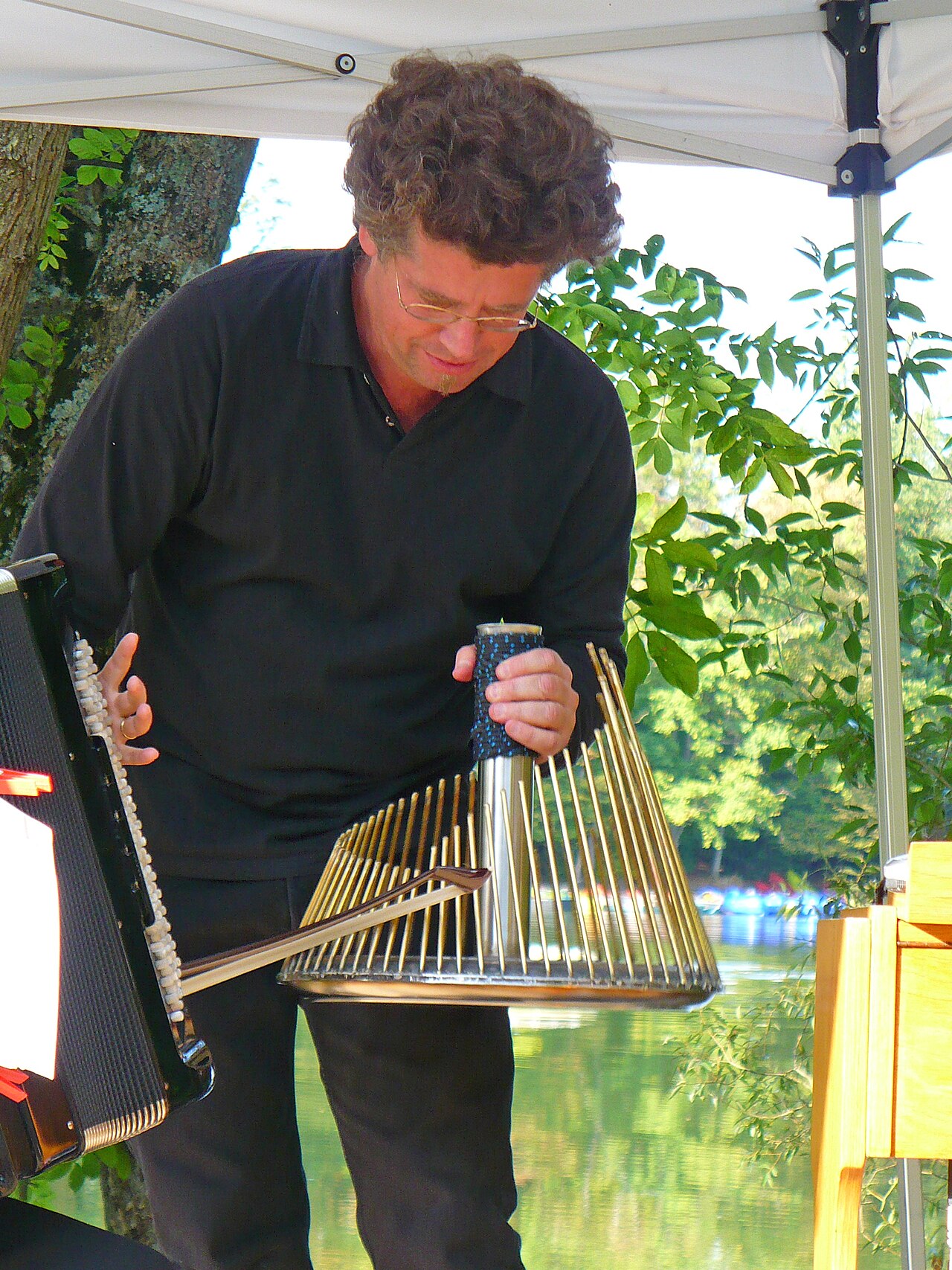 A waterphone, a stainless steel bowl ringed with bronze rods of varying lengths