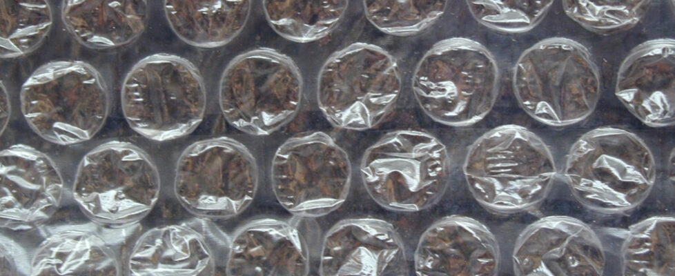 Close-up of bubble wrap, rows of small air-filled plastic bubbles