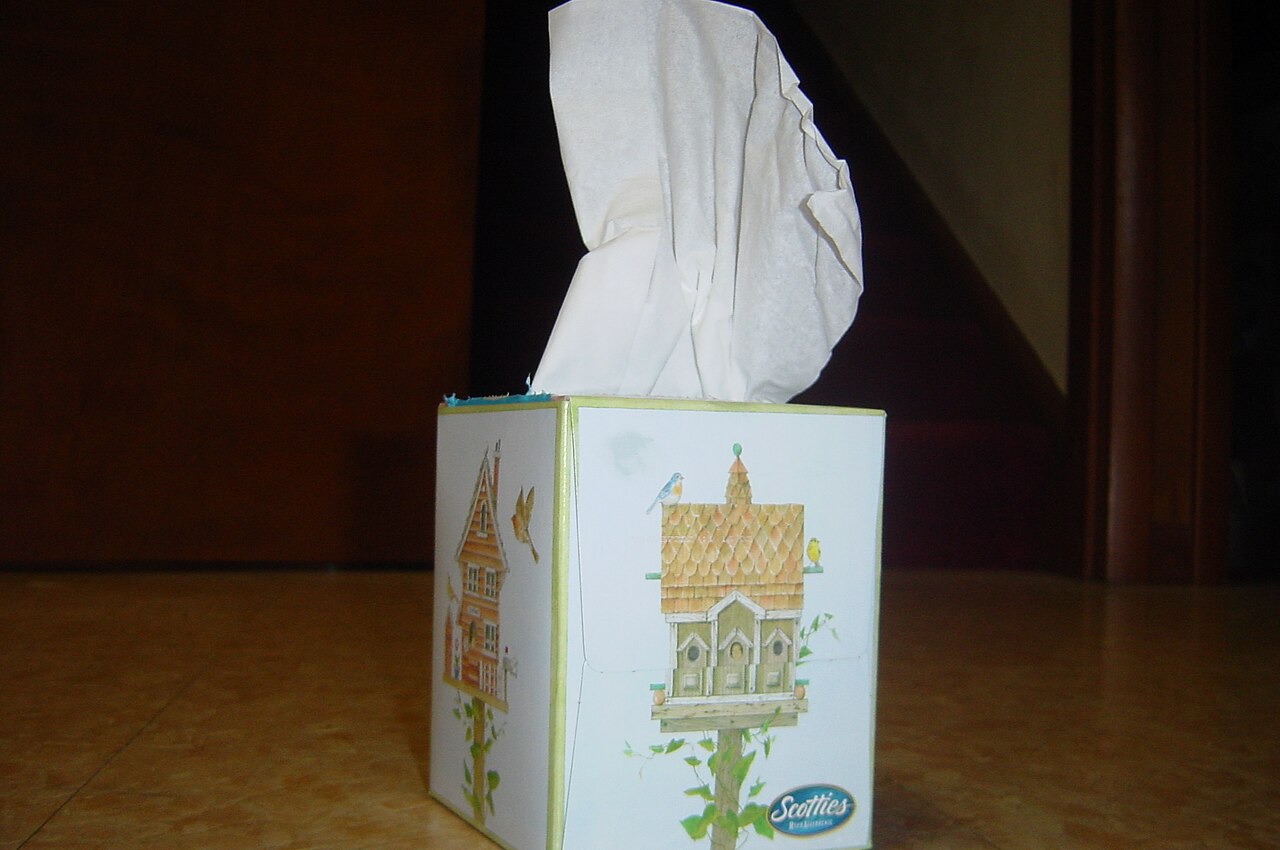 A box of disposable facial tissues, the product Kleenex made famous