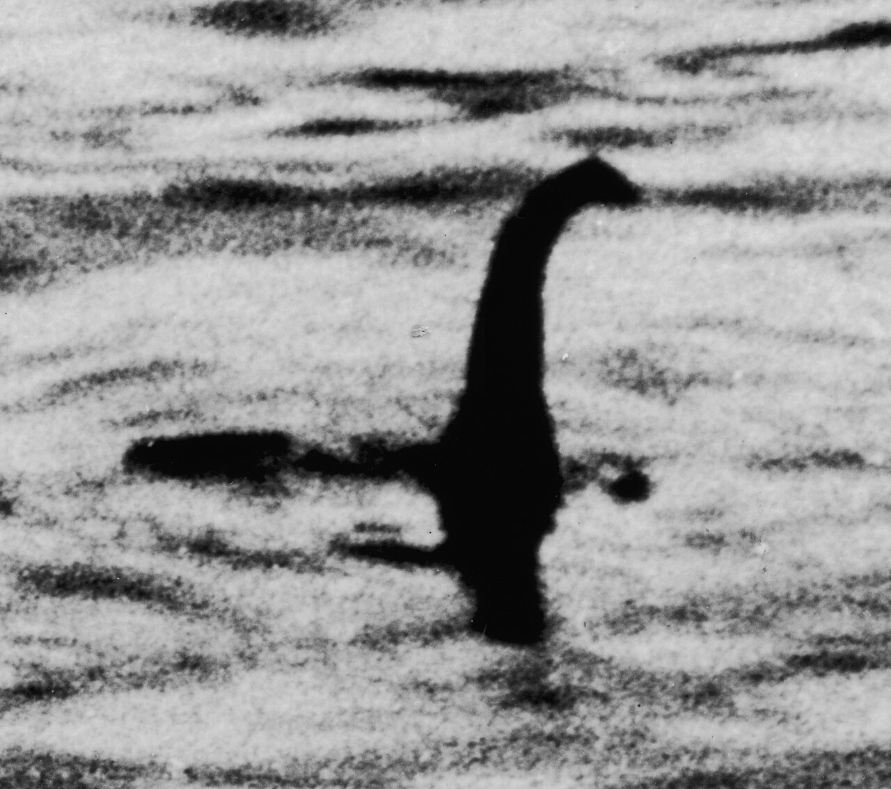 The famous grainy 1934 photograph of a long-necked shape rising from Loch Ness
