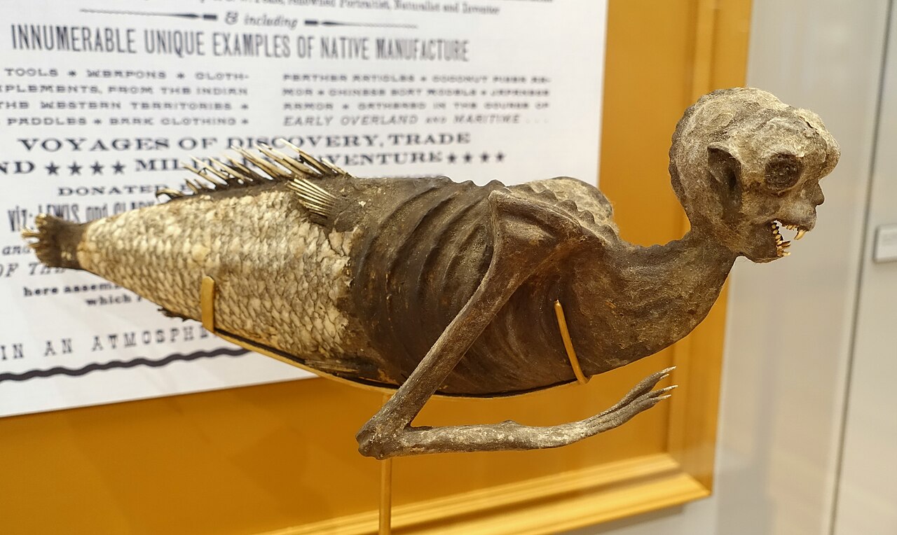 A shriveled fake mermaid specimen combining a monkey-like upper body with a fish tail