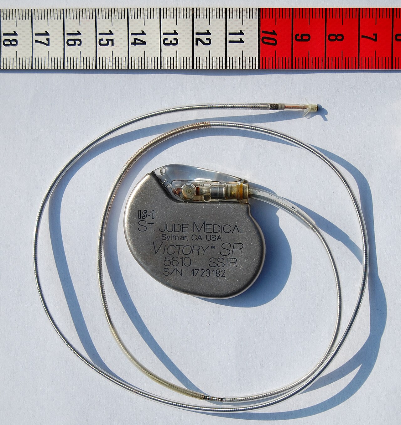 A small, rounded metal implantable cardiac pacemaker device with its connector