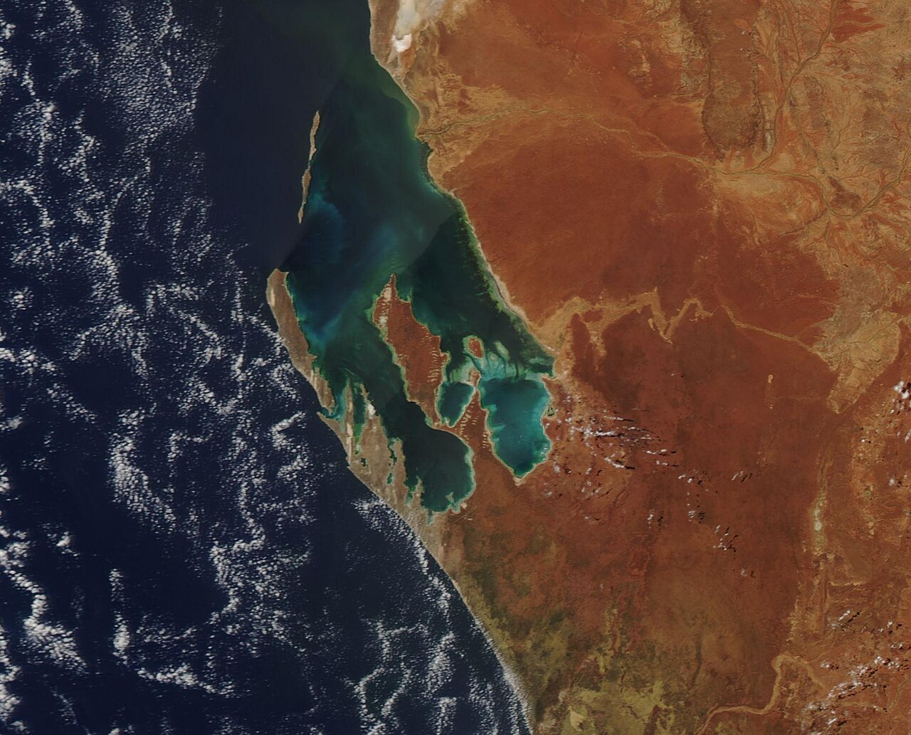 Satellite view of Shark Bay on the coast of Western Australia