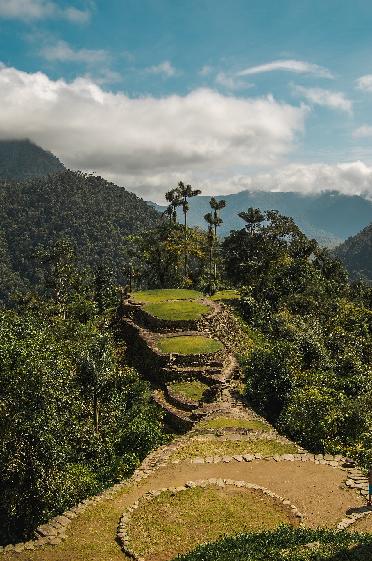 Grassy circular stone terraces of Ciudad Perdida surrounded by dense green jungle