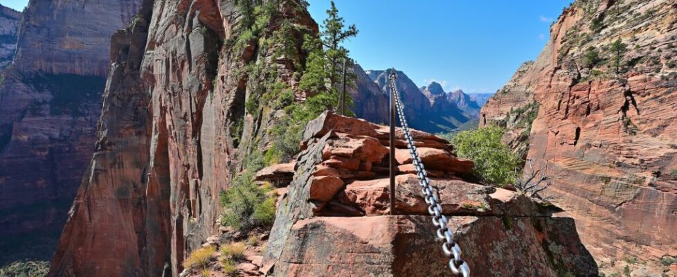 Hikers gripping chains along the narrow sandstone ridge of the Angels Landing trail in Zion National Park