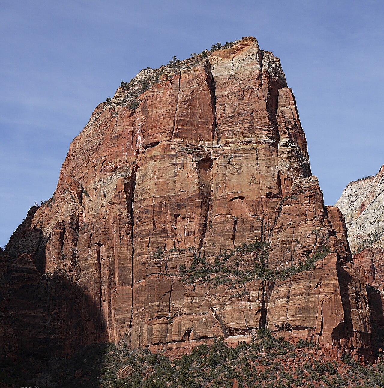 The narrow sandstone fin of Angels Landing rising above Zion Canyon in Utah