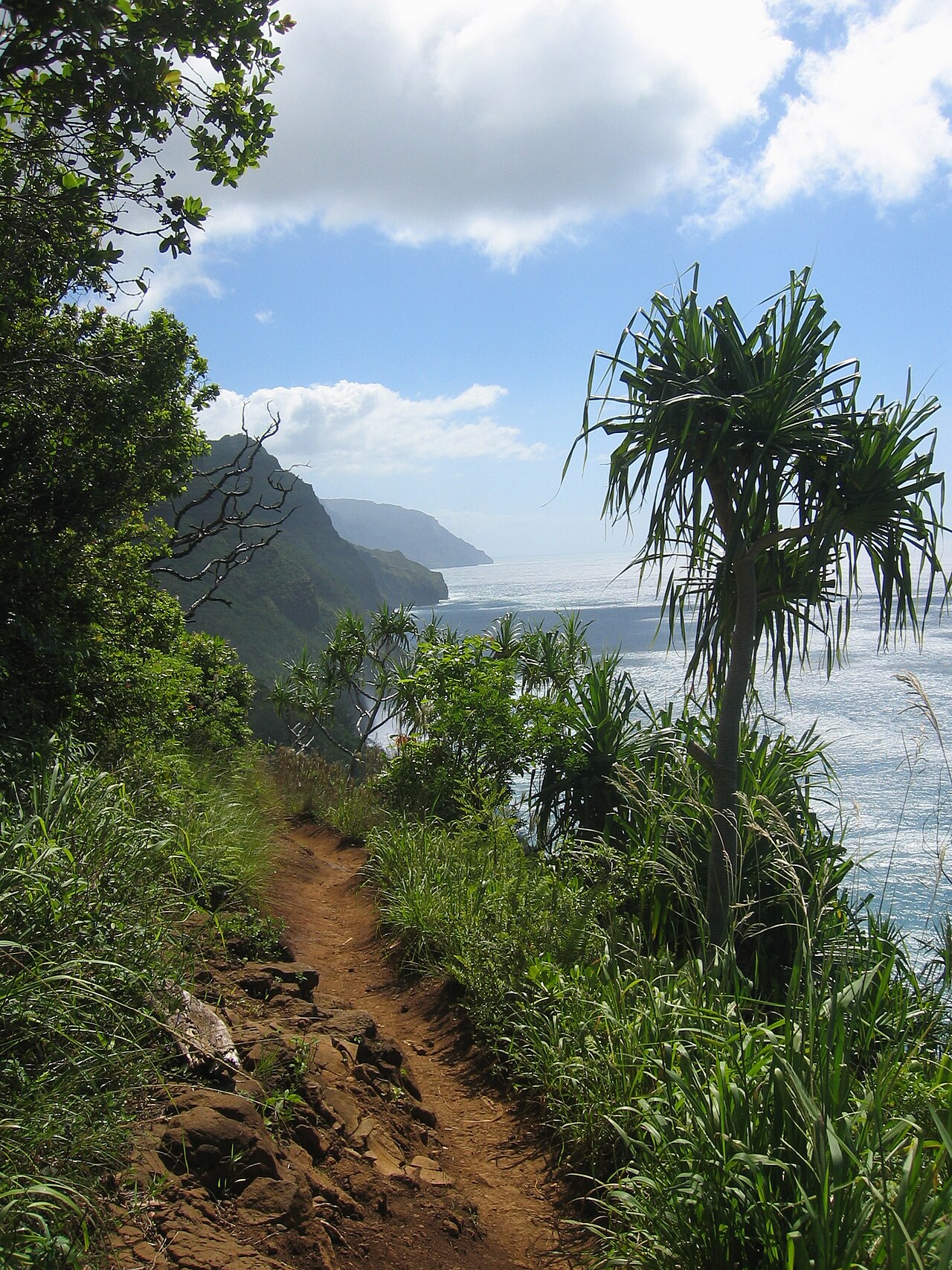 Steep green ridges of the Nā Pali Coast dropping into the ocean along the Kalalau Trail