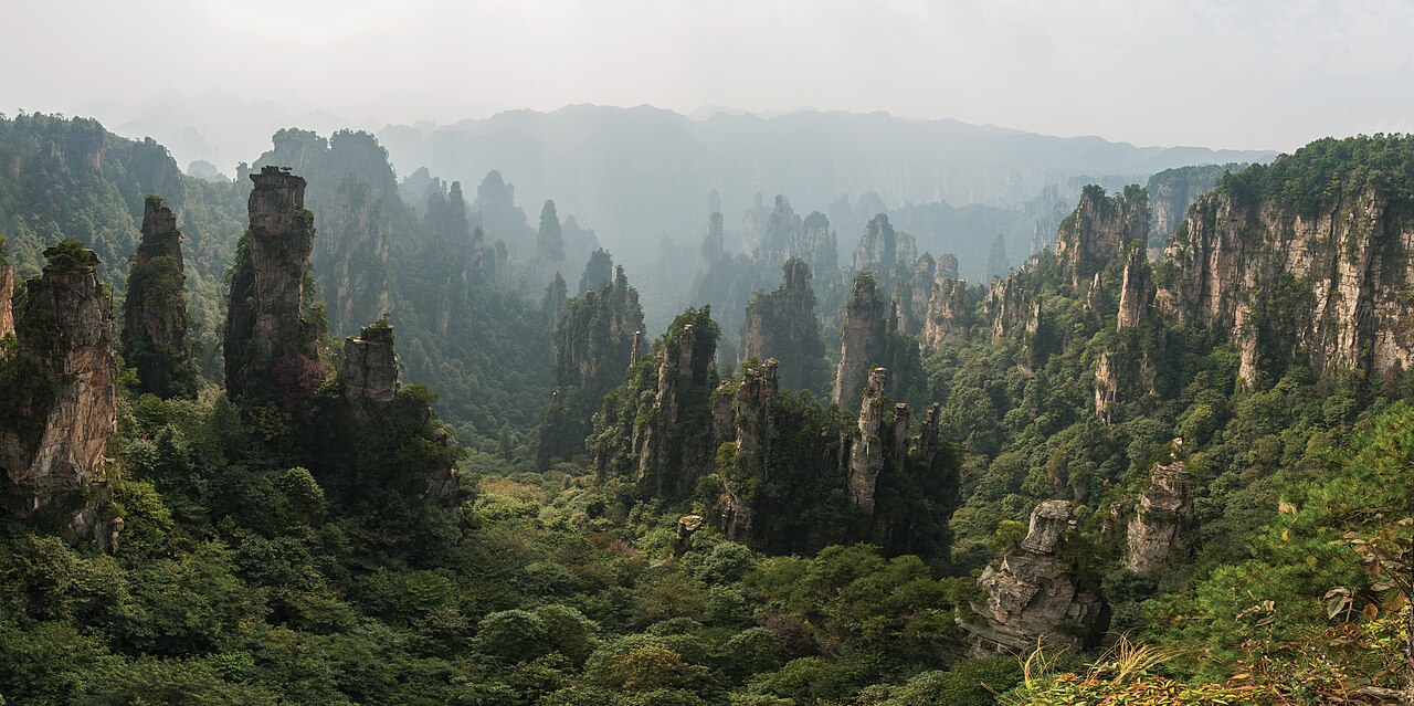 Tall sandstone pillars topped with trees rising from a forested valley in Wulingyuan