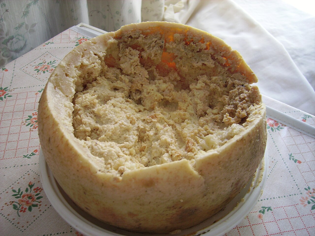 Casu marzu, a Sardinian sheep’s milk cheese ripened by insect larvae