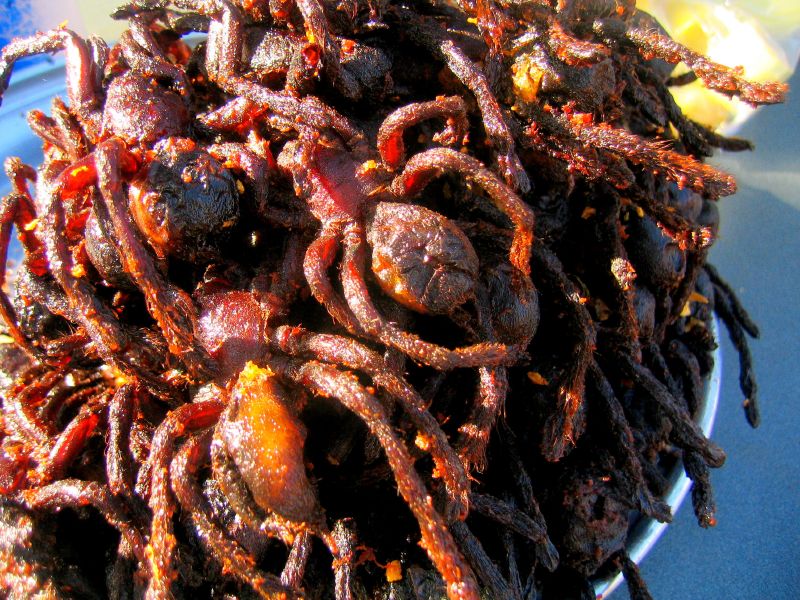 A pile of deep-fried tarantulas sold as a snack in Cambodia